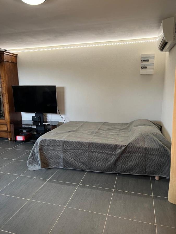 Studio Cosy Avec Grand Jardin Privatif Oasis Provencale A Taradeau Екстериор снимка